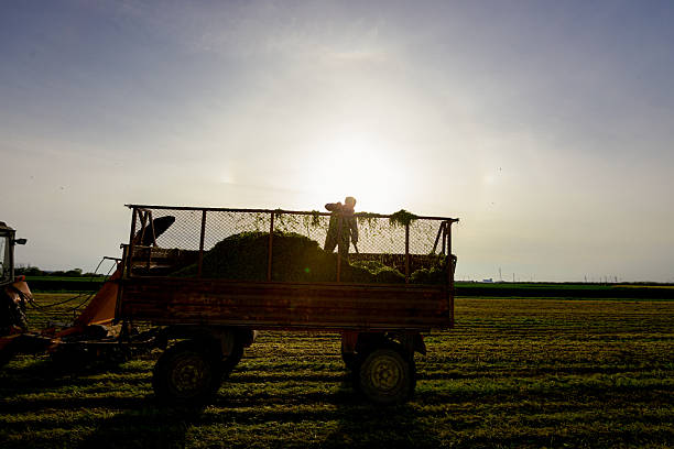 istock Farmer in a trailer works with pitchfork 2227582540