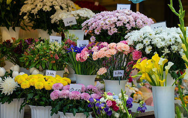 istock Fresh and Colorful Flower Display with Price Tags. 2227583394