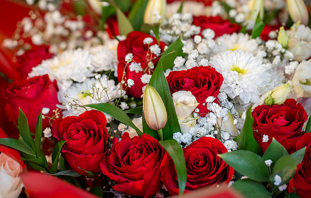 Vibrant Red and White Rose Bouquet with Delicate Accents.