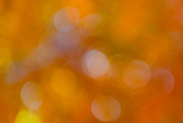 Fall blurred background orange color. Fall nature. Blurred bokeh background. Autumn defocused nature. Blur backdrop of autumn leaves. Unfocused colorful season. Bokeh autumn leaves. Blurred backdrop.
