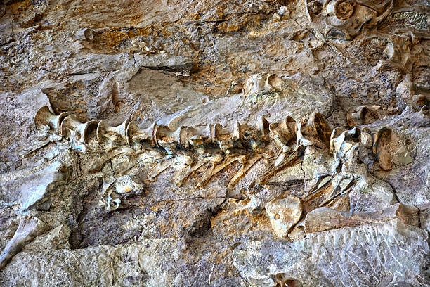 istock Dinosaur National Monument  Ancient Fossil Site in Utah 2227599466