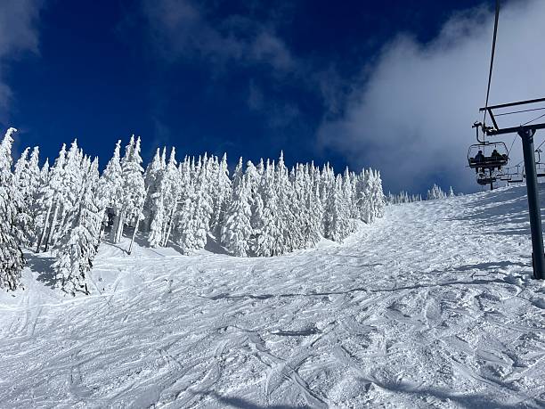 istock Fresh Powder on a Bluebird Day 2227599686