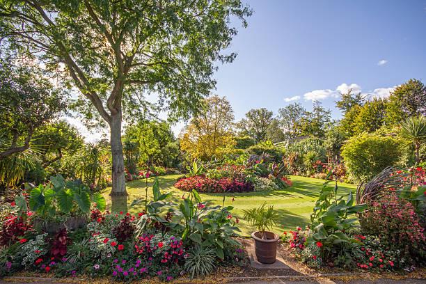 istock Bright coloured plants in a garden in bright sunlight 2227602366