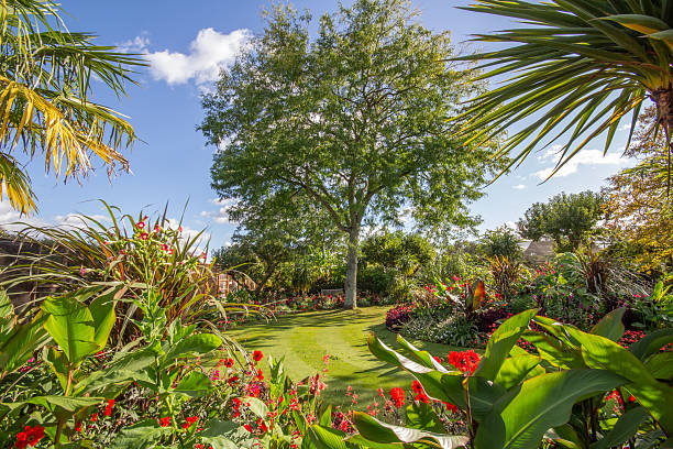 Bright coloured plants in a garden in bright sunlight