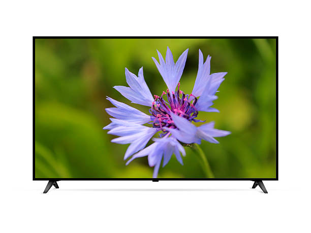 istock Smart tv with blue cornflower on screen 2227604561