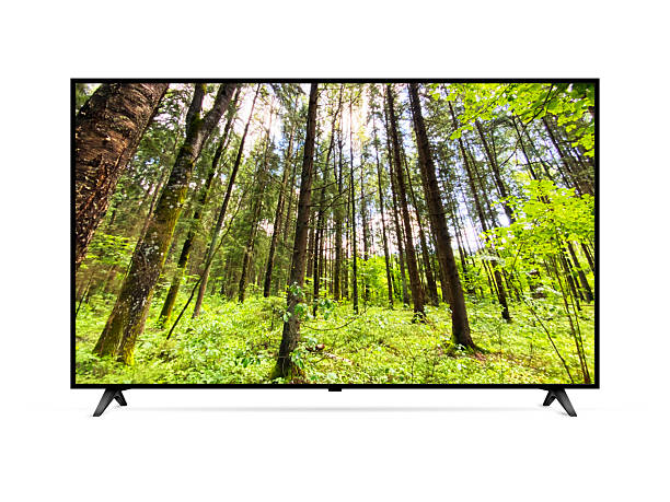 istock Smart tv with forest wallpaper 2227605371
