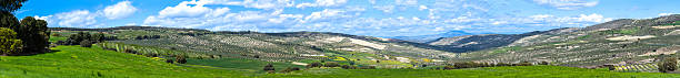 istock The rural fields glow with magical green hues 2227607108