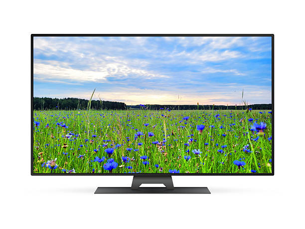 istock Smart tv with blue cornflowers field on screen 2227607270
