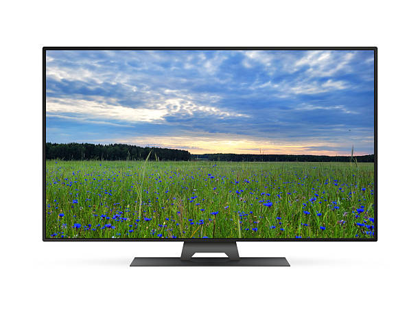 istock Smart tv with blue cornflowers field on screen 2227608343