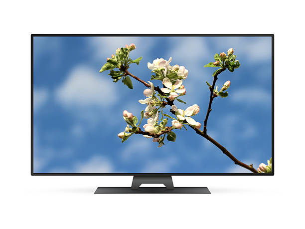 istock Smart tv with a blooming branch of apple tree on screen 2227608392