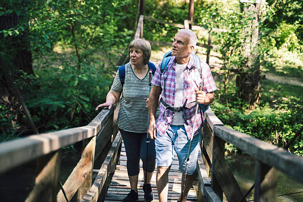 istock Exploring Nature Hand-in-Hand on a Wooden Bridge 2227610209