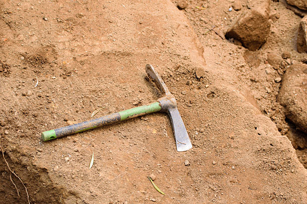 istock A Hand Tool for a Detailed Archaeological Excavation. Concept The need for precision in research. 2227615018