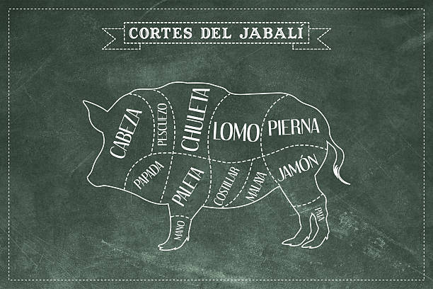 istock Boar  Cutting Guide in Spanish with Green Chalkboard Background 2227615949