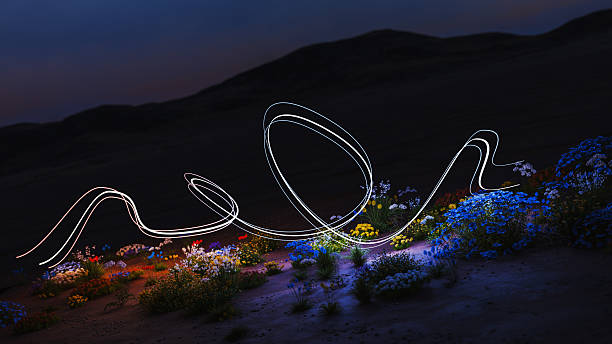 Colorful light stream illuminating flowers at night, CGI