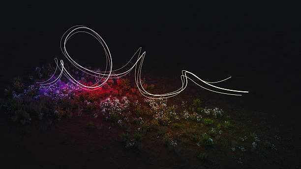 Colorful light stream illuminating flowers at night, CGI
