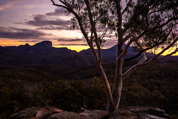 istock A vivid sunset glows in the western sky behind a dramatic escarpment, with a white gum tree silhouetted in the foreground 2227617026