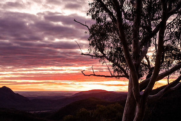 istock A vivid sunset glows in the western sky behind a dramatic escarpment, with a white gum tree silhouetted in the foreground 2227617032