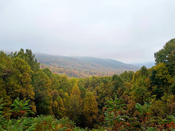 Fall foliage at Great Smoky Mountains in Gatlinburg, TN