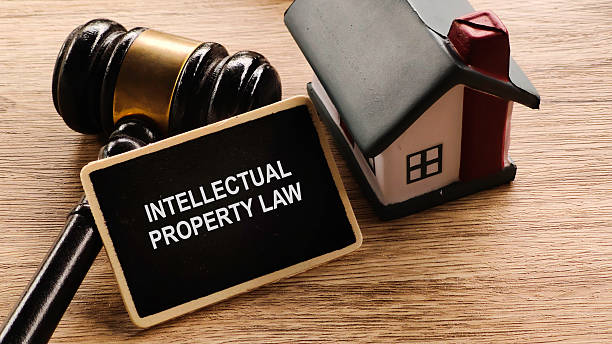 istock Intellectual Property Protection for Your Home 2227622852