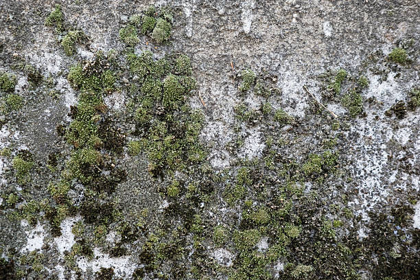 Weathered and cracked concrete wall, displaying age and texture. backgrounds or urban themes