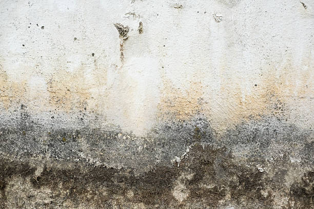 Weathered and cracked concrete wall, displaying age and texture. backgrounds or urban themes