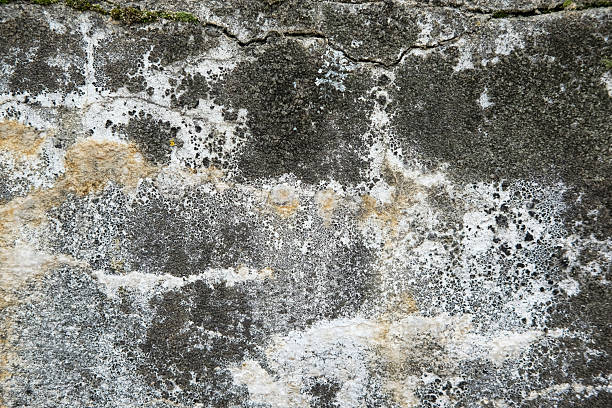 istock Weathered and cracked concrete wall, displaying age and texture. backgrounds or urban themes 2227623732