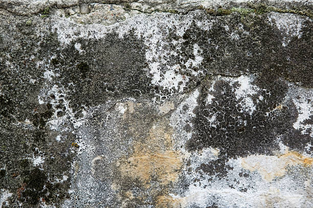 istock Weathered and cracked concrete wall, displaying age and texture. backgrounds or urban themes 2227623779
