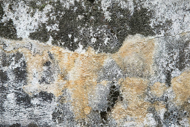 istock Weathered and cracked concrete wall, displaying age and texture. backgrounds or urban themes 2227623785