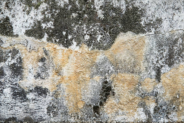 istock Weathered and cracked concrete wall, displaying age and texture. backgrounds or urban themes 2227623787