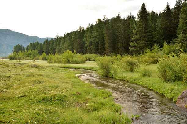 istock A meandering river flows through a valley in the mountains along a dense coniferous forest on a sunny summer morning. 2227625601