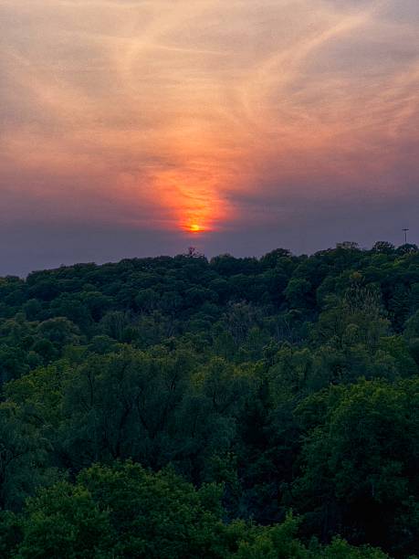 istock Vivid Sunset Over Forest Valley 2227626045