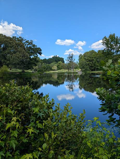 istock Reflections of the Sky on the Pond 2227626268