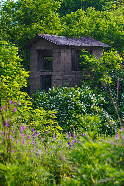 istock A small, weathered stone building, possibly an abandoned shed or cabin 2227626592