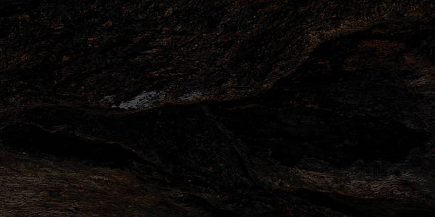 istock Dark wood texture with details of ancient bark 2227632082