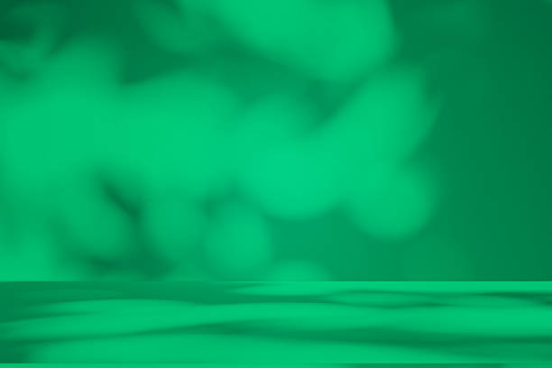 istock Studio style background wall decoration presentation uses white and green tones. with shadows cast from a nearby window, concept creating a decorative 2227634171