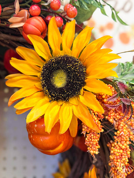 istock Close-up image autumn decoration display wreath, artificial autumnal coloured maple leaves, artificial sunflower heads, orange plastic pumpkins, autumnal background 2227644059