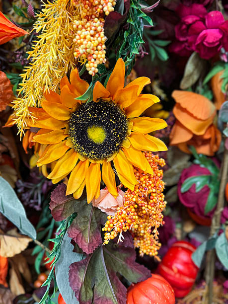 Stock photo showing close-up view of autumnal  wreath decoration, background of artificial leaves, sunflower heads, orange, Physalis alkekengi Chinese lanterns, material red rose heads, fake berries and plastic, orange pumpkins.