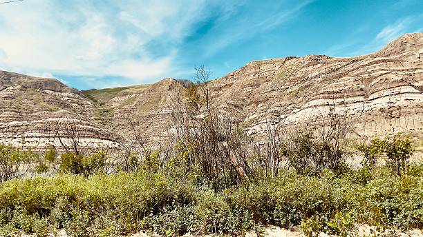 Red deer rivier vallei Alberta zomer 2025