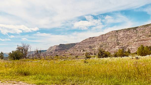 istock Red Deer River valley alberta summer 2025 2227644249