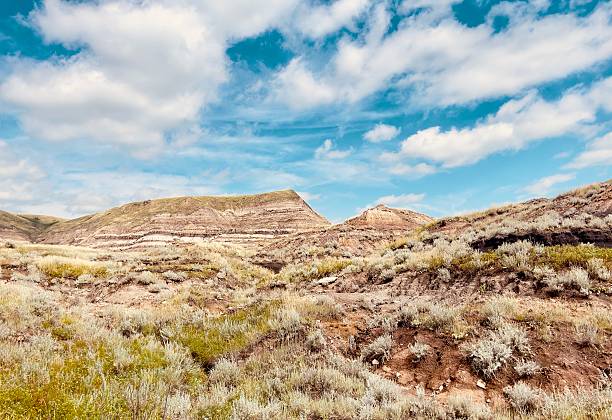 istock Red Deer River valley alberta summer 2025 2227644352