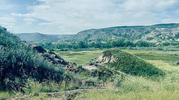 Red Deer River valley alberta summer 2025