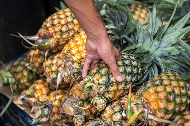 istock A man is holding a pineapple in the market 2227644668