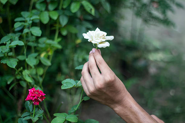istock A man holds a white flower, and the background is blurred 2227647009