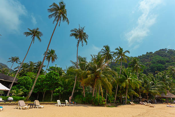 istock Beautiful tropical beach at island Koh Chang 2227647606