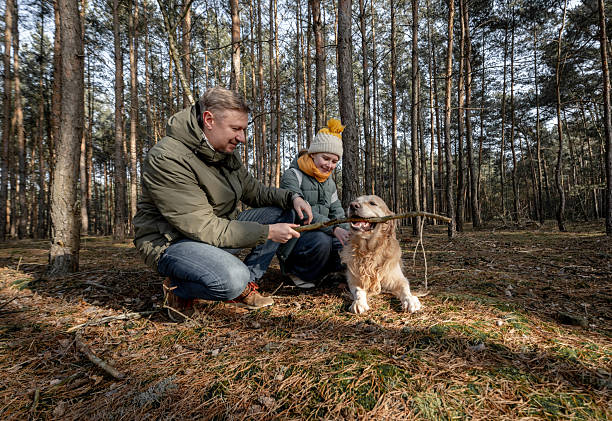 istock Dad And Daughter Are Walking In The Forest 2227649088