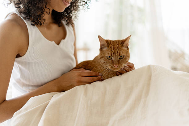 istock Woman Relaxing with Her Cat at Home 2227651453