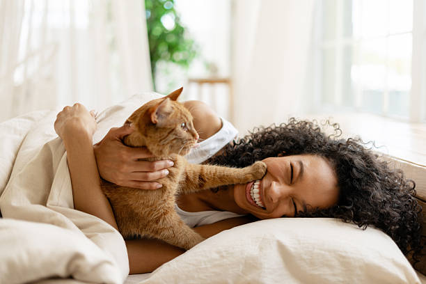 istock Young woman laughing and playing with ginger cat in bed 2227651795