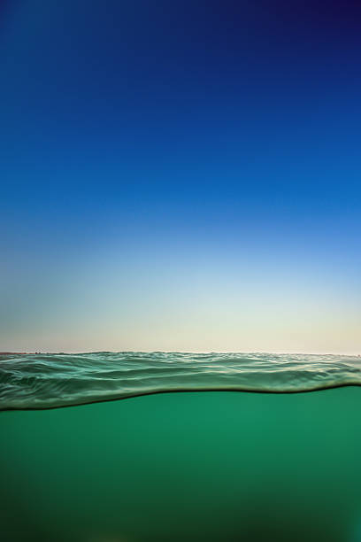 A split view of green sea or ocean water surface, underwater and clear sky.