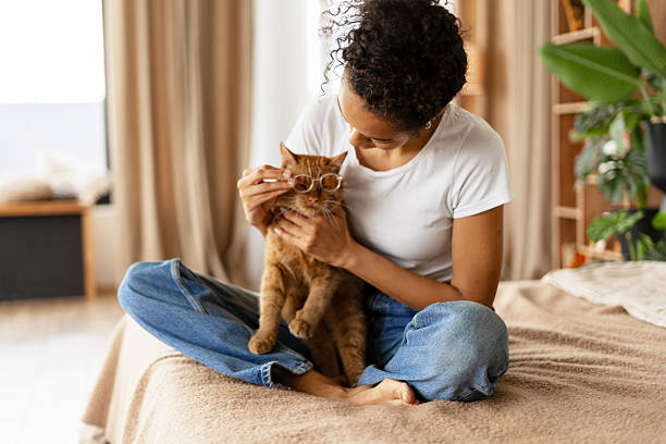 istock Young Woman Playing with Her Cat Indoors 2227657897