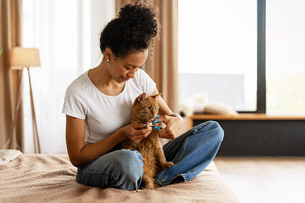 istock Young Woman Trimming Cat's Claws on Bed 2227658031